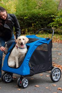 Pet Gear Expedition Pet Stroller