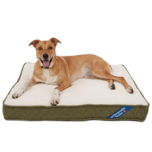 Beds - Top Paw® Orthopedic Pet Bed (COLOR VARIES)