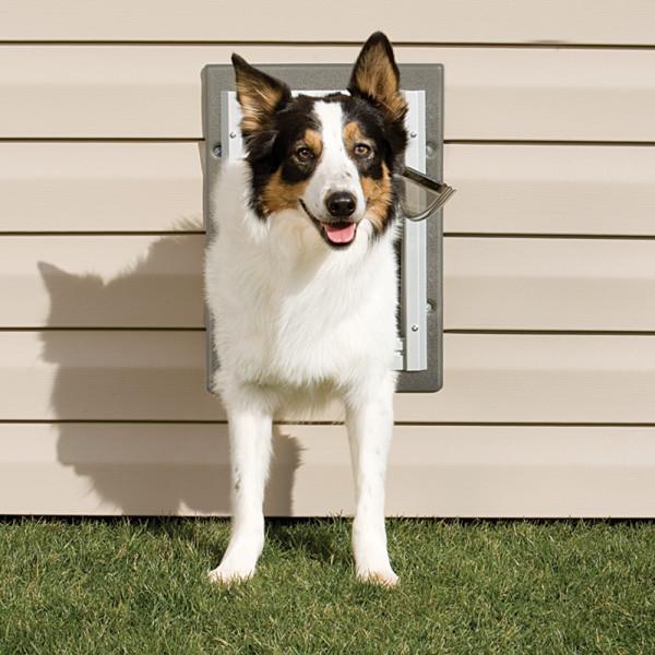 petsafe wall entry aluminum pet door large